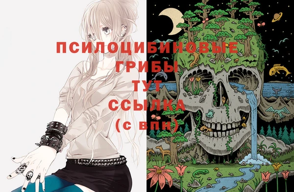 гидропоника Абдулино