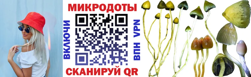 купить наркотик  Яблоновский  Псилоцибиновые грибы Cubensis 